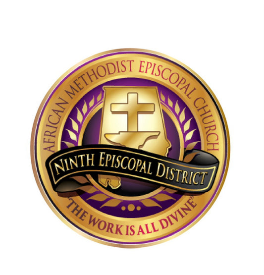 District Lapel Pin